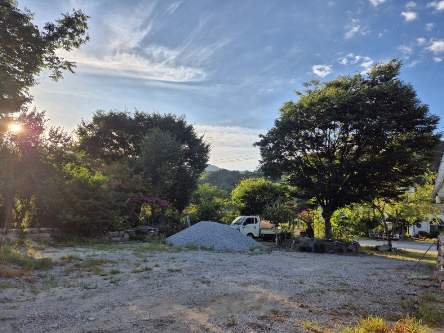 산동화덕구이 사진 6