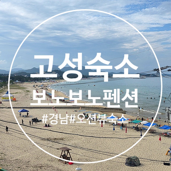 사진 6