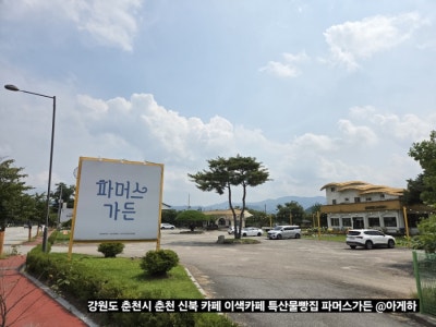 사진 5