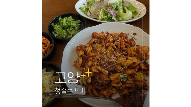  원당 맛집 청솔쭈꾸미 성사동 국사봉 가족외식 장소 포장도 가능