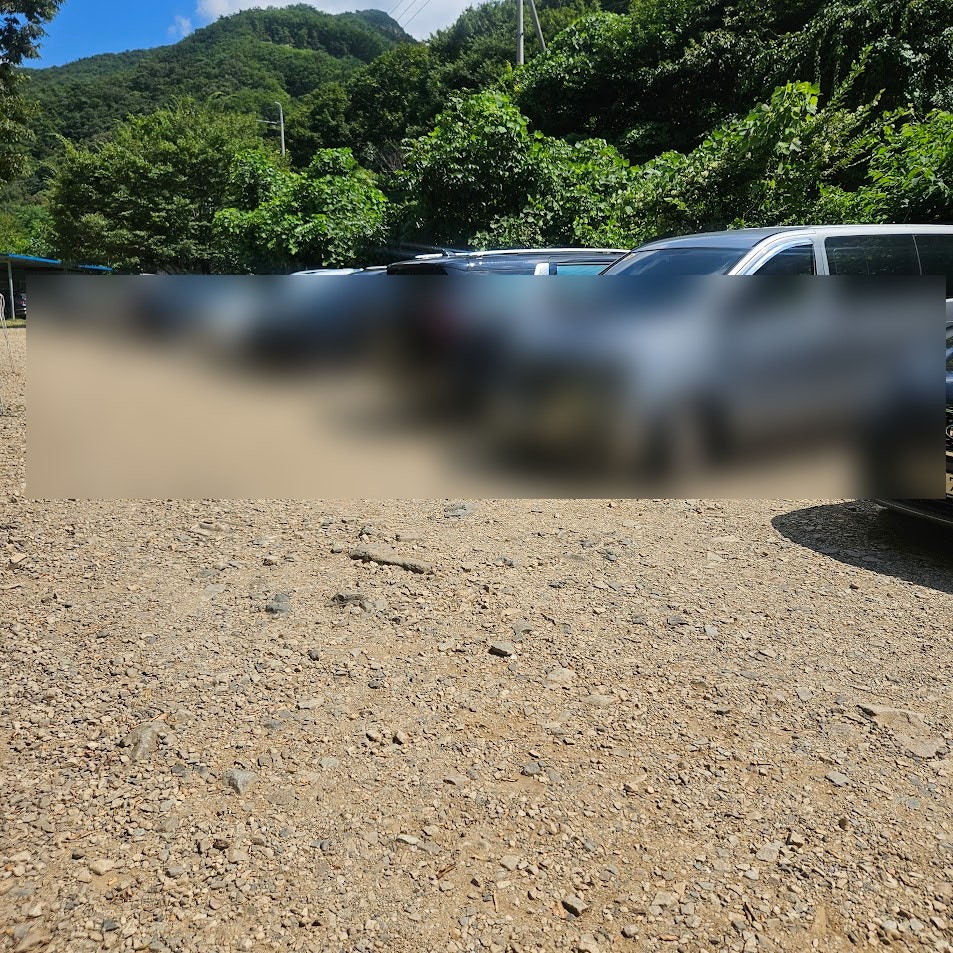 청강수계곡펜션가든 사진 1
