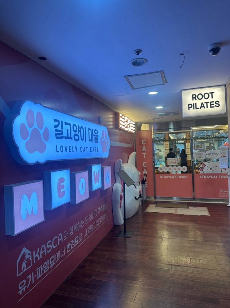  길고양이 마을 잠실 고양이카페, 잠실 키즈카페 추천