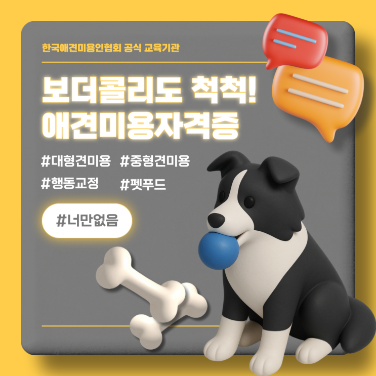  보더콜리 미용, 제대로 배워야 성공합니다!