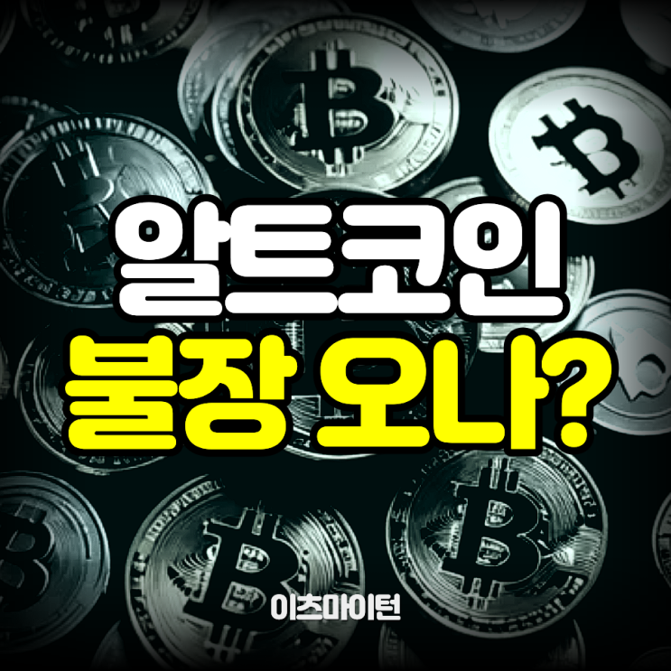  비트는 도미넌스 무너지고, 알트코인은 날아올랐다…진짜 불장 시작?