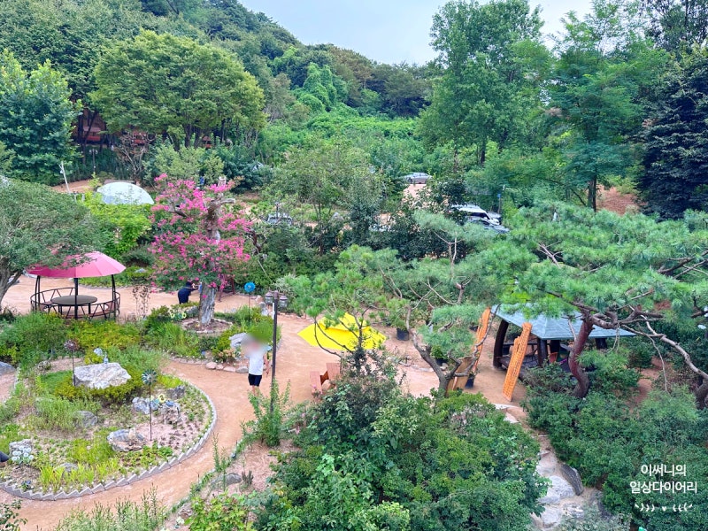 사진 7