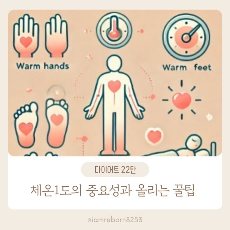  [다어이트 22탄] 체온의 중요성과 찜질 효과