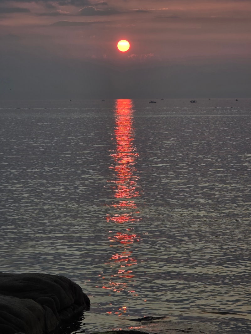 정책지식 2025.8.25. : 네이버 블로그