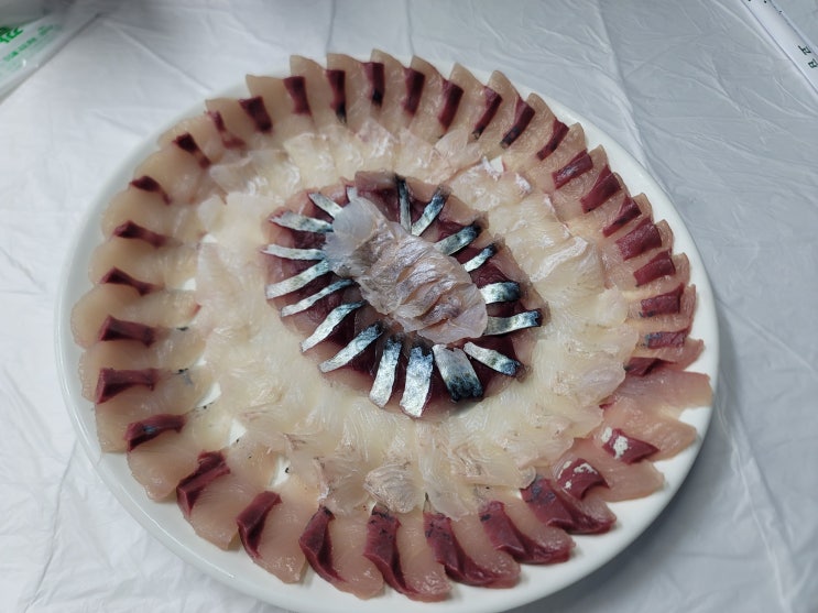  강원도 속초 대포항 가성비 좋고 인심까지 좋은 맛집 지영이네 횟집