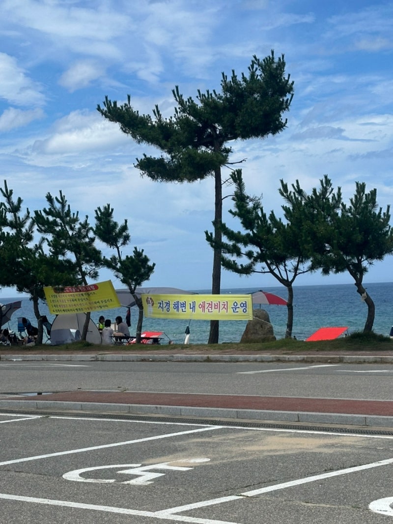 사진 12