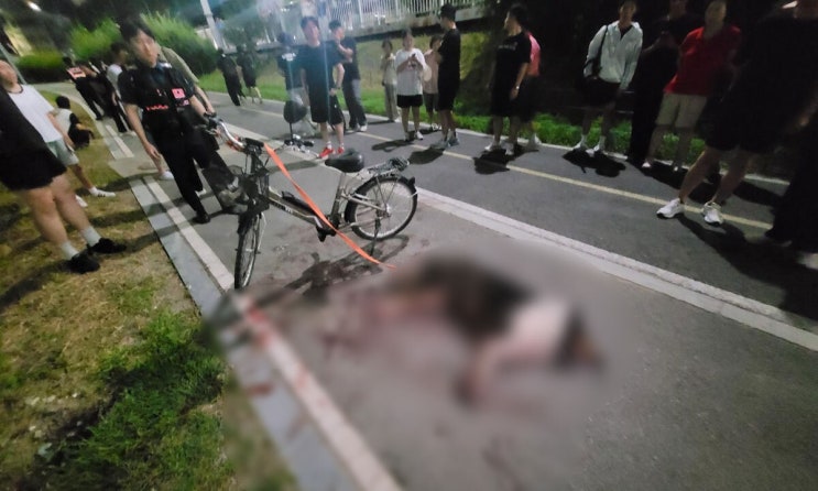  “운동시키려 했다”는 견주 해명… 끝내 숨진 개, 시민들 분노 폭발
