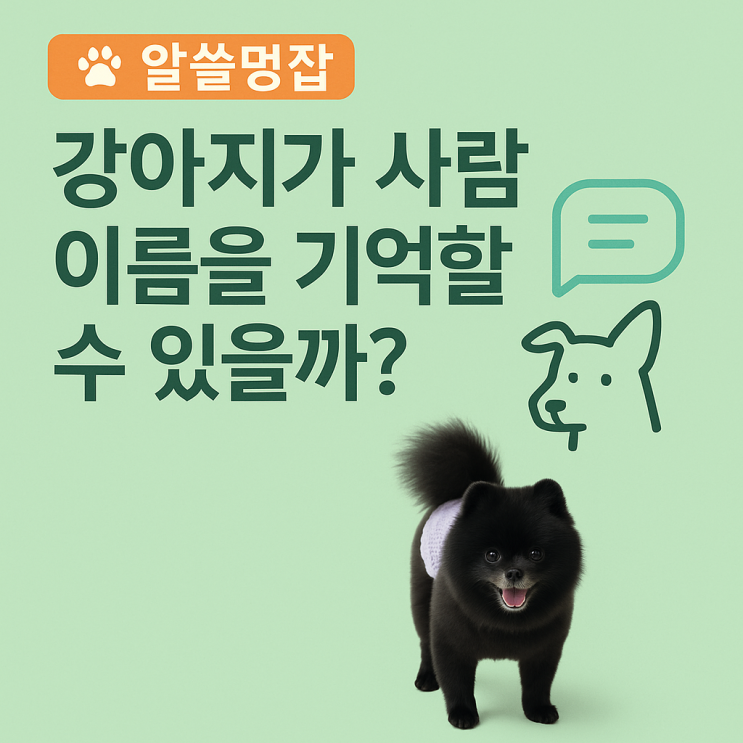  [알쓸멍잡] 강아지가 사람 이름을 기억할 수 있을까?