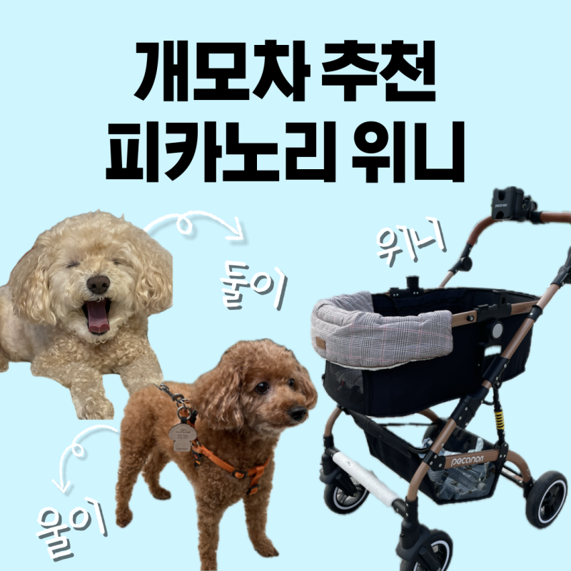 피카노리 위니 유모차 - 다견 강아지유모차로 추천 4년째 사용중!