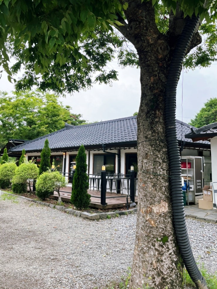 사진 4