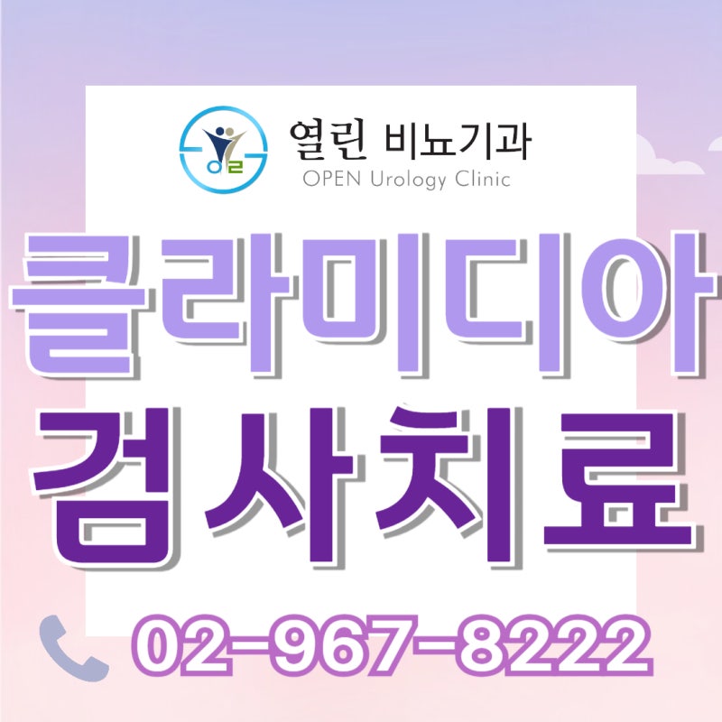 클라미디아 완치후재발 잠복기 검사 치료 항생제