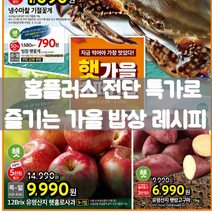  8월 마지막주 홈플러스 전단, 특가 장보기 & 레시피5