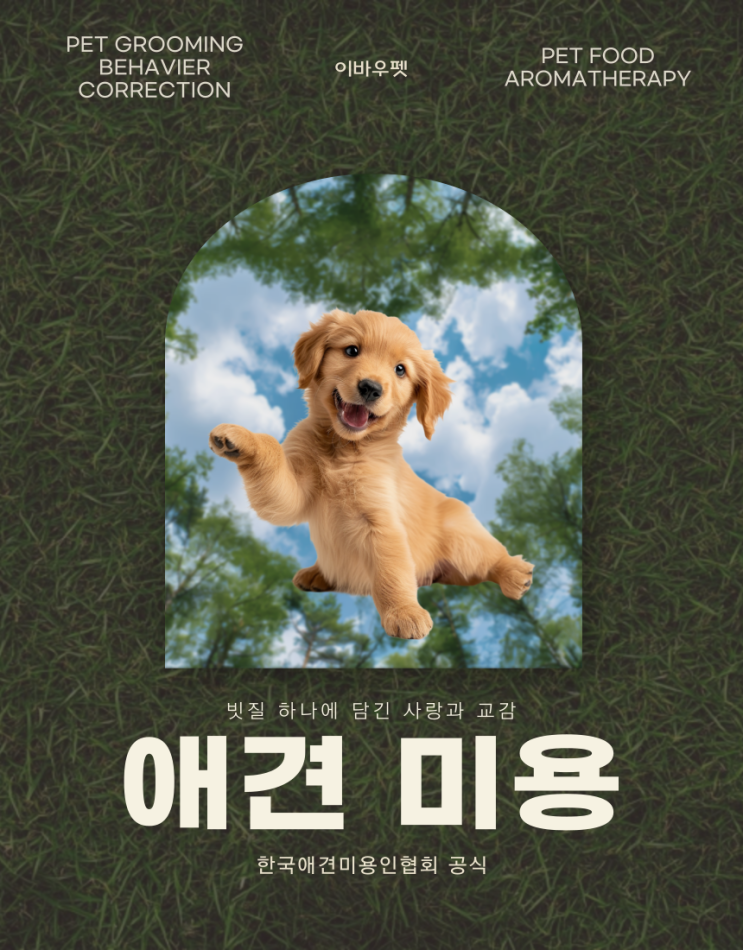  애견미용실창업 ! 학원이면 든든한 조력자가 생겨요!