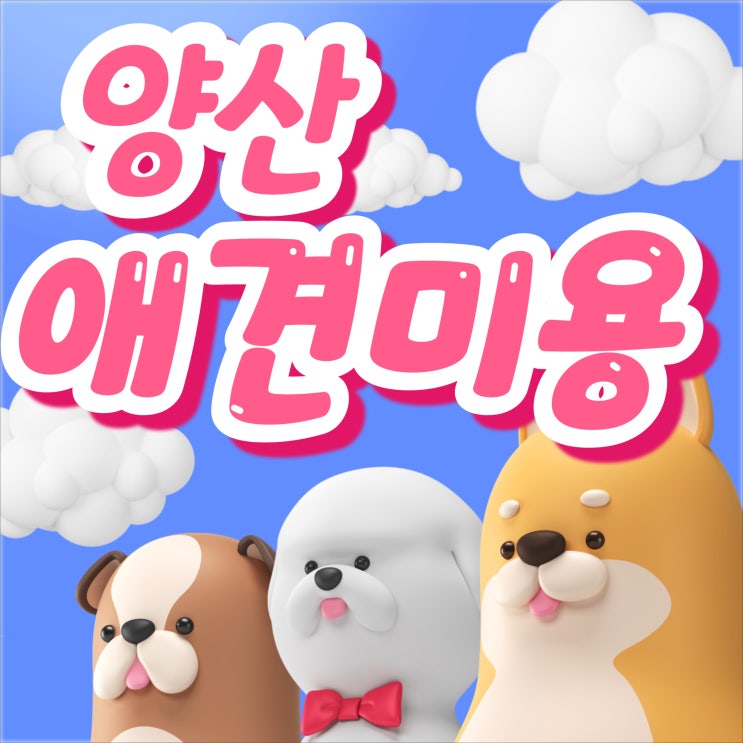  양산애견미용학원의 교육 특징