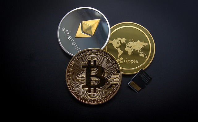  XRP, 현물 ETF 승인 여부가 2025년 가격 향방의 핵심 변수