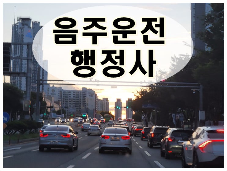  음주운전초범 반성문 쓰는법 및 면허취소 대응법까지