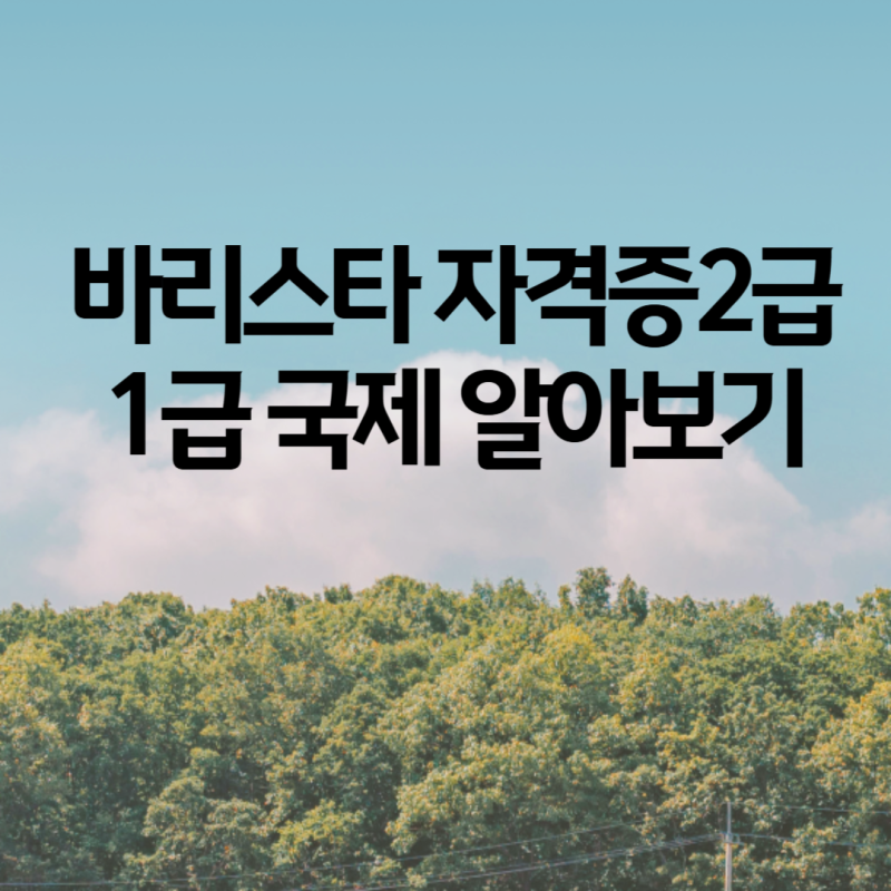 바리스타 자격증2급 국제 1급과의 차이 완벽 가이드