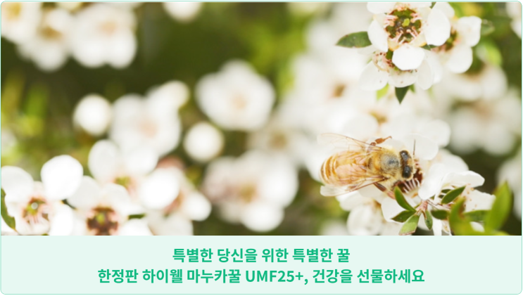  특별한 당신을 위한 특별한 꿀: 한정판 하이웰 마누카꿀 UMF25+, 건강을 선물하세요