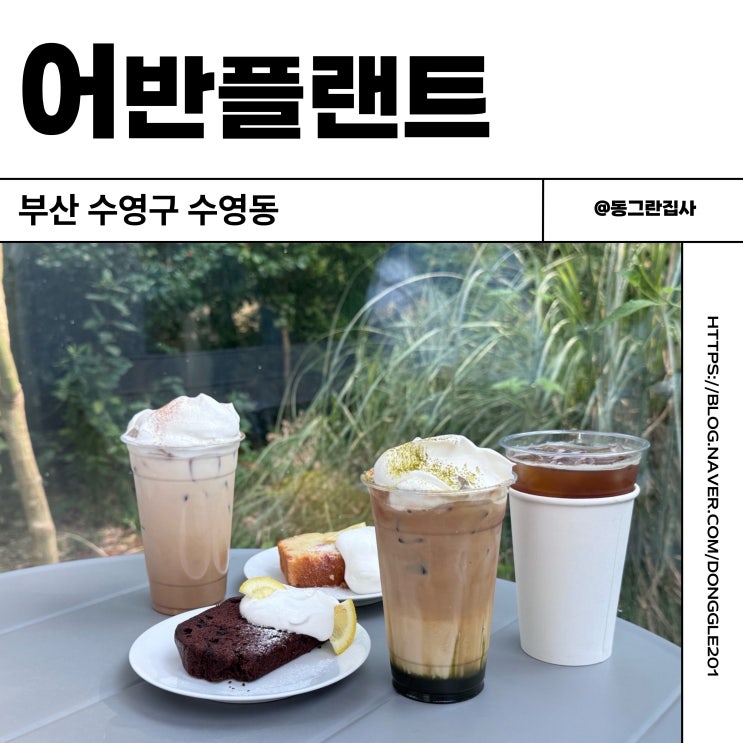  부산 브런치 카페 어반플랜트 수영구 식물원카페 솔직후기