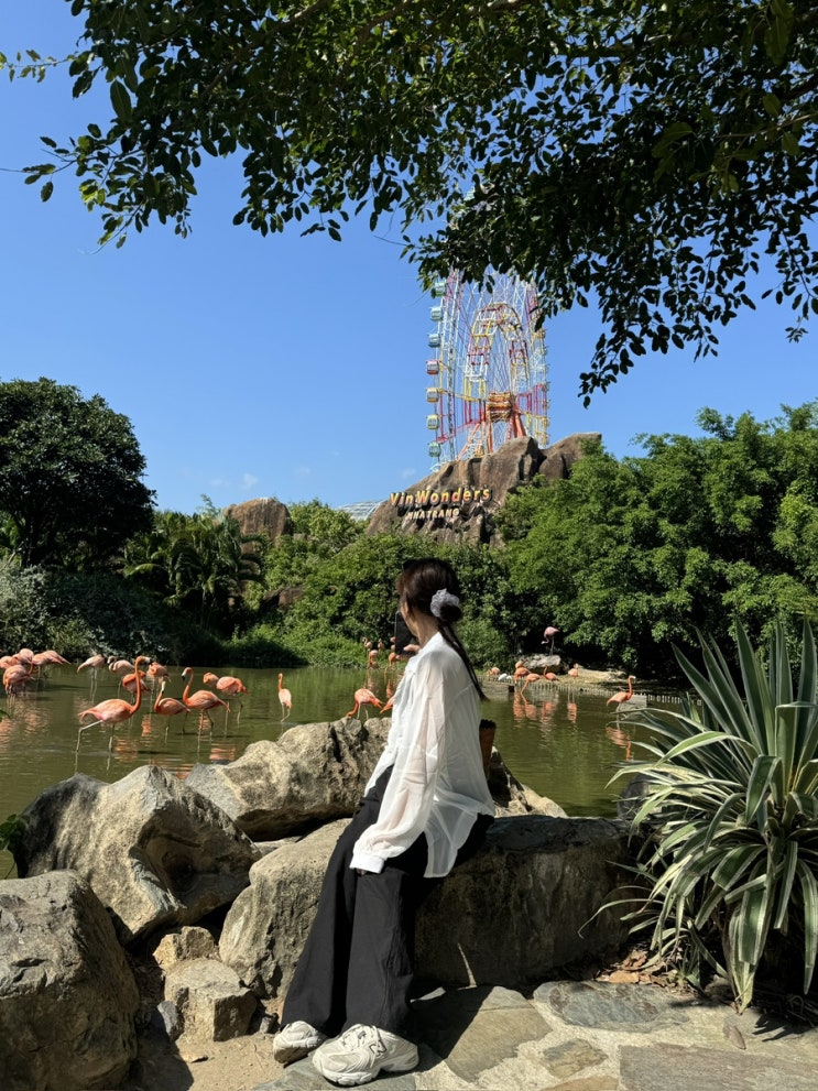  @VIETNAM:Nha Trang 나트랑 저녁비행기 추천 일정 베나자 스토어·필굿커피·빈펄랜드·참스파·쌀국수로 마무리!