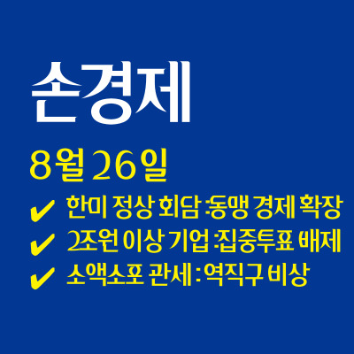 손경제>한미정상회담 /집중투표제 / 역직구몰 비상 / 20250826(화)