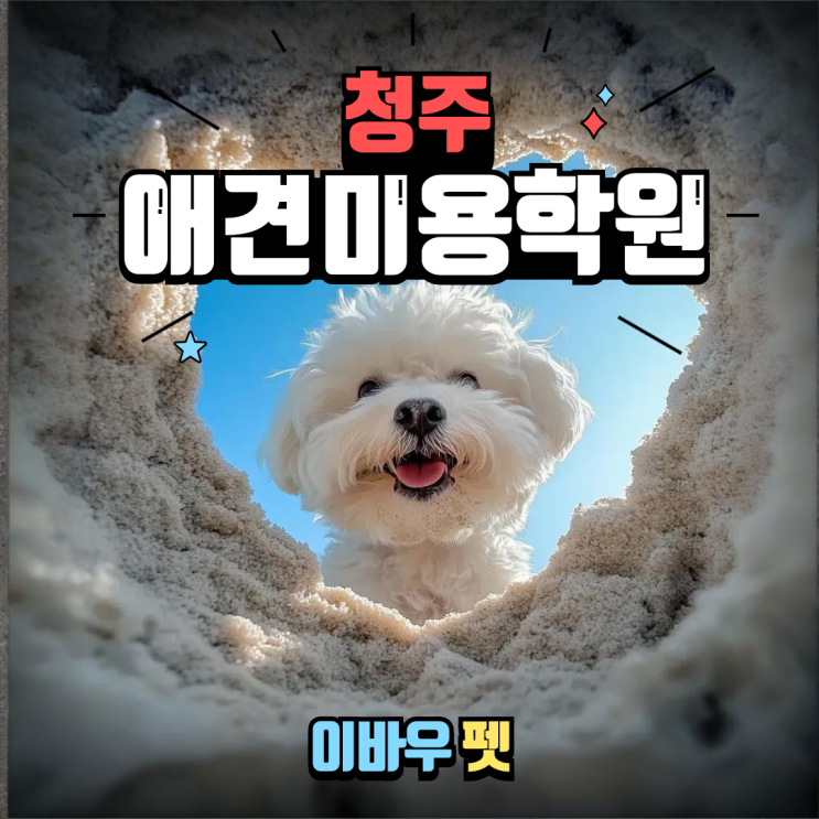  청주애견미용학원 , 이제 당신의 미래가 활짝 열립니다!