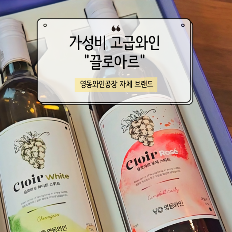  영동 끌로아르 와인, 1만원대로 즐기는 가성비 선물, 시음 솔직후기