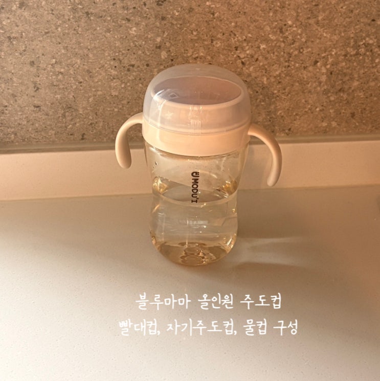  10개월아기 자기주도컵 블루마마 올인원 주도컵 사용후기