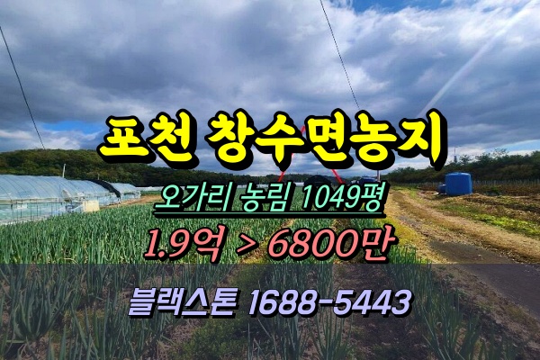  포천시 창수면 농지 경매 오가리 1천평