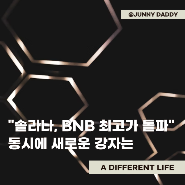 <b>솔라나</b>, BNB <b>최고가 돌파</b>와 밈코인 시장의 새로운 강자