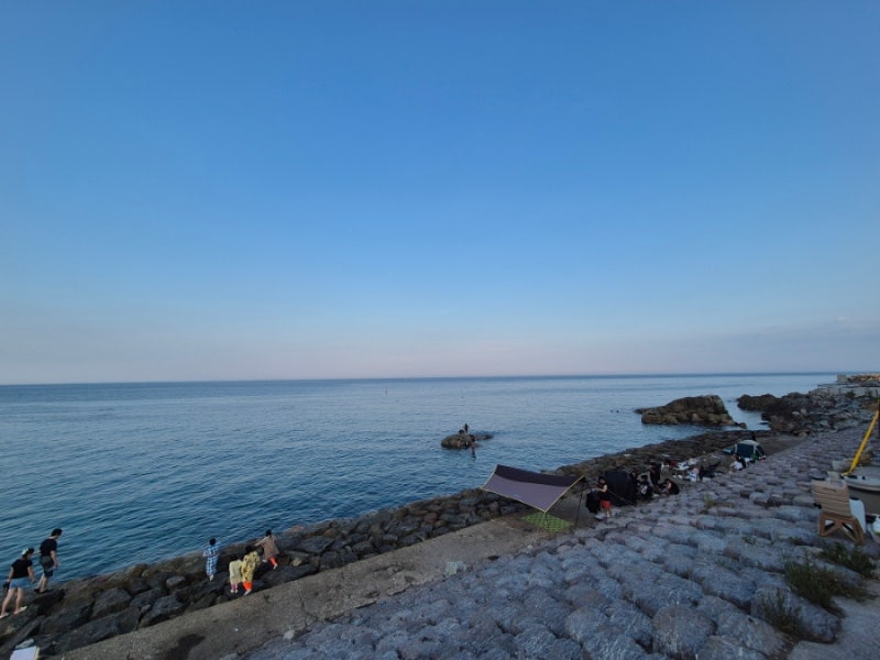 사진 7