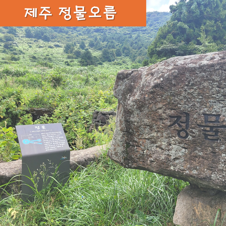  《제주오름》 정물오름 성이시돌 목장 제주순례자의길