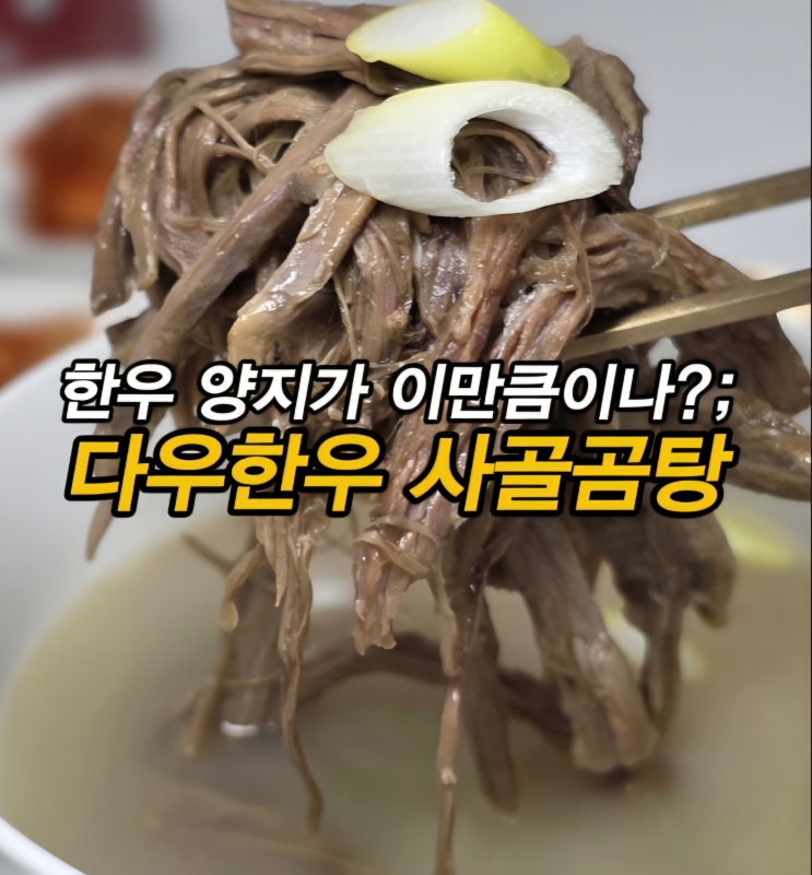 보양식으로 좋은 한우사골곰탕 한우사골곰국 다우한우 한우 한마리 수제 고기곰탕 밀키트 리뷰