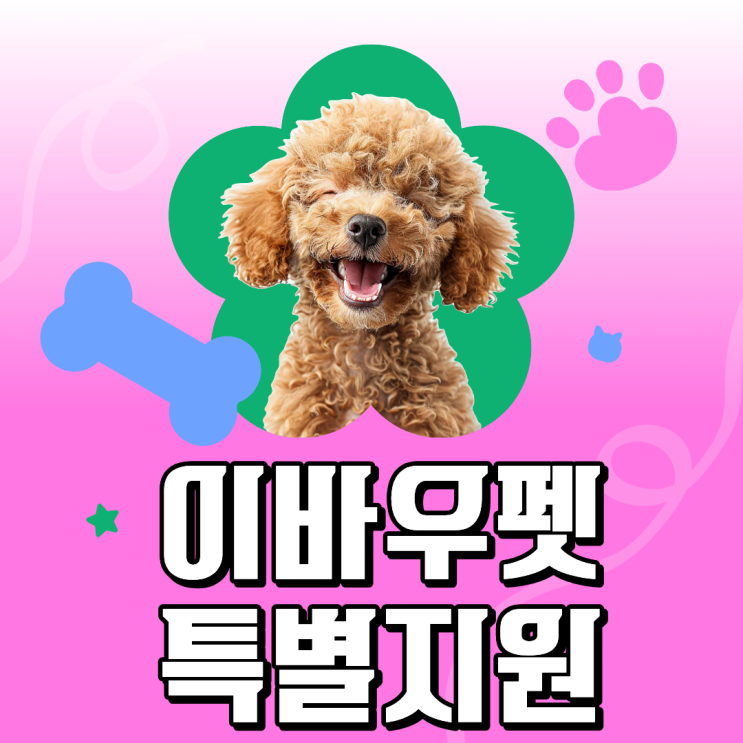  이바우펫 특별지원…알고 나면  진짜 미친 혜택 수준!