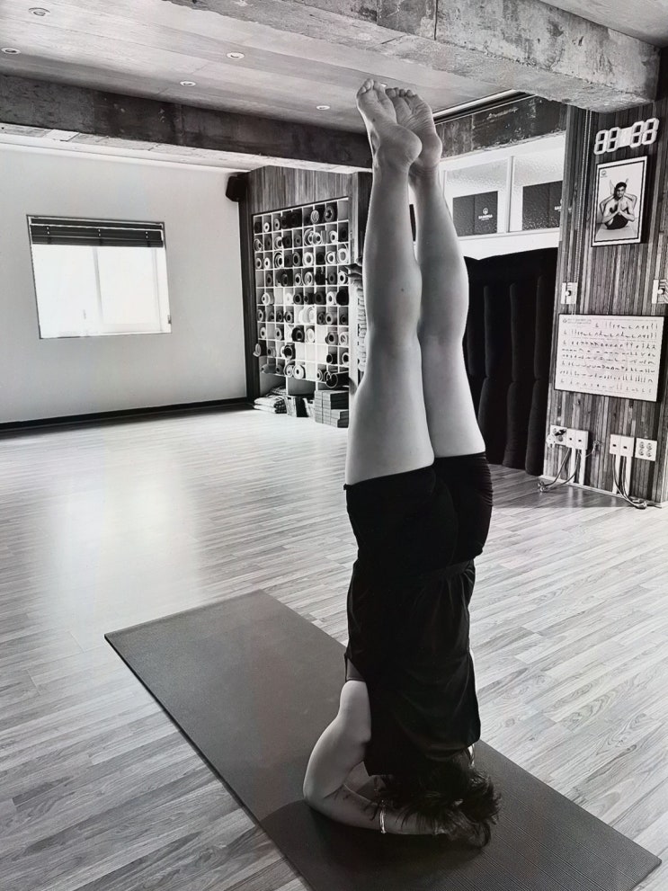  맞춤형 요가지도자과정으로 내 몸과 마음 찾기, 사브리나요가