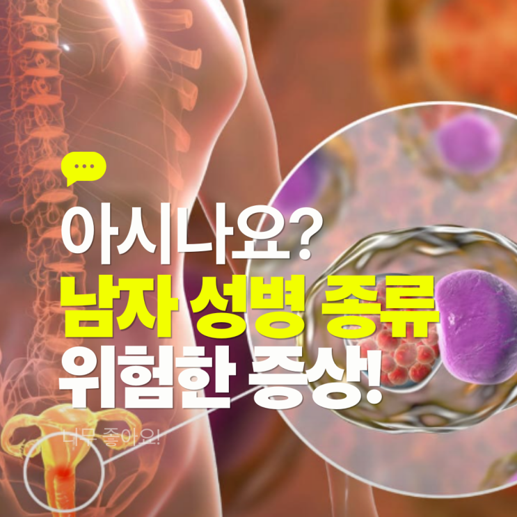  남자 성병 종류 별 증상 원인 치료 방법 완치 가능성?