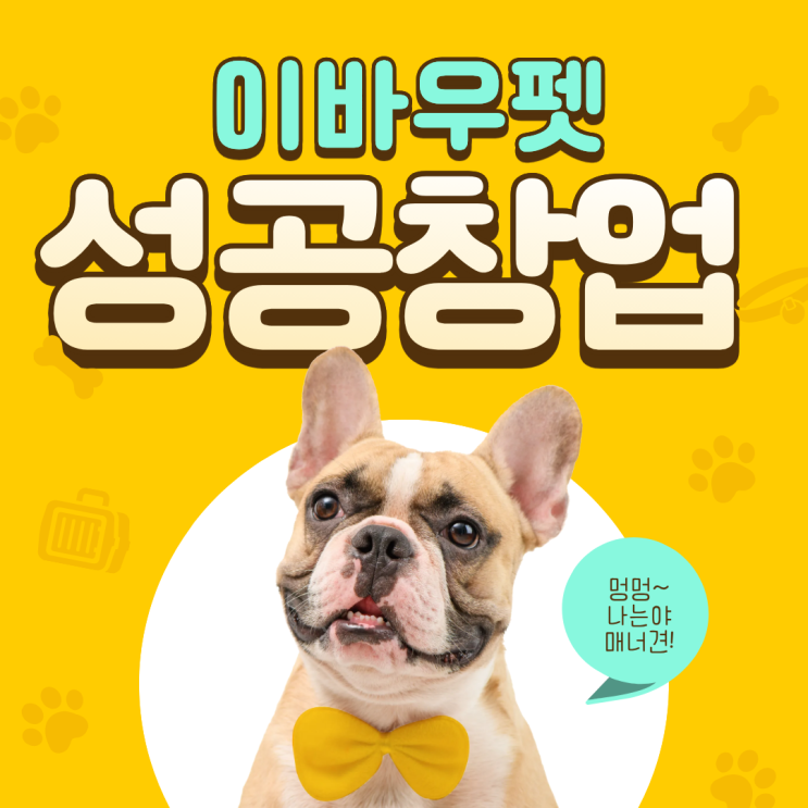 이바우펫 성공창업 비밀 공개