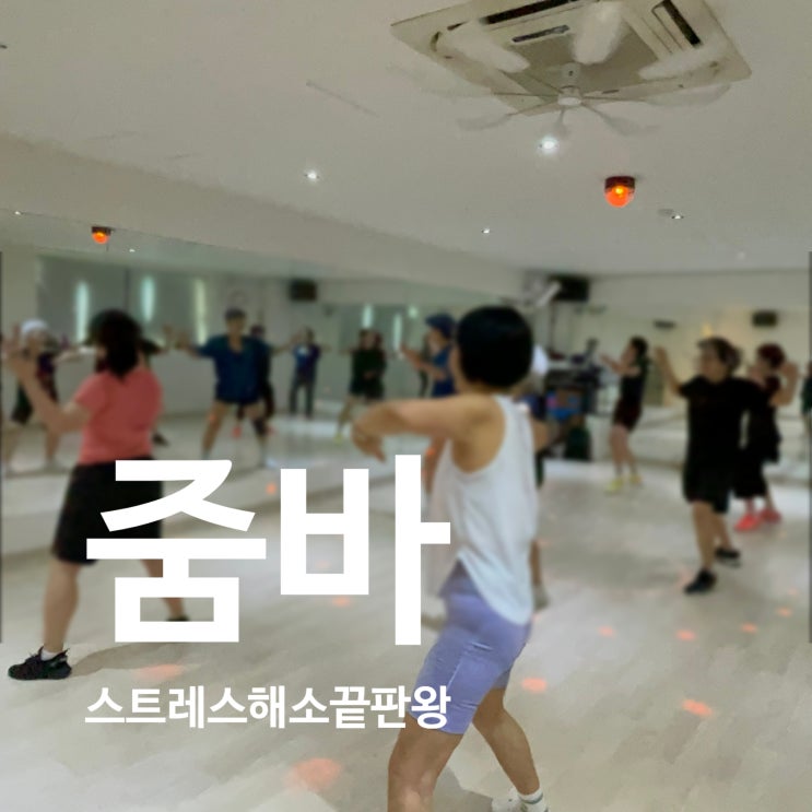  탄현 헬스장 줌바 스트레스 해소 끝판왕. 이보다 더한 게 있음 나와라