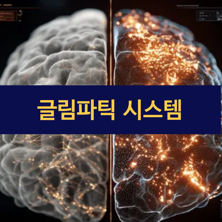  뇌 속 청소부 | 글림파틱 시스템이 치매 예방의 열쇠를 쥐고 있다