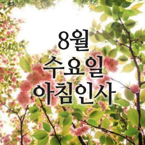  8월 인사말, 27일 수요일 행복한 아침인사 이미지