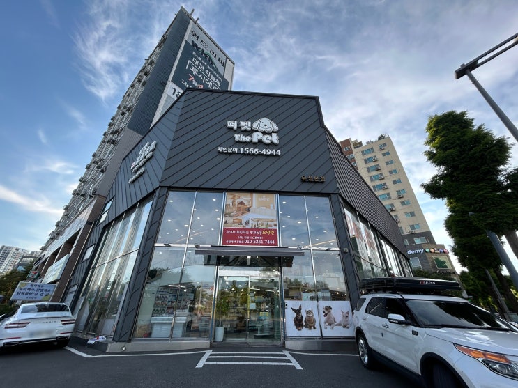  더펫 유성본점 대전강아지분양 전문 팁
