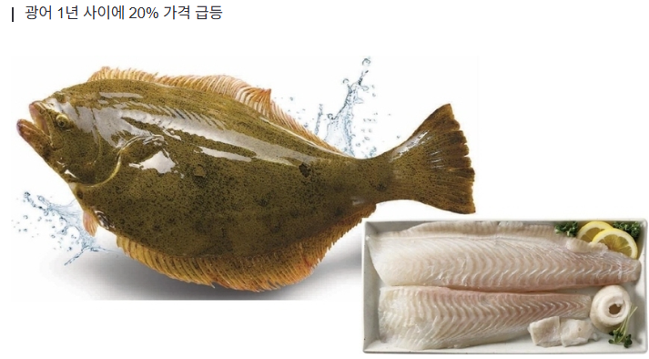  고수온에 흔들리는 횟집 물가 광어·우럭 값 ‘껑충’