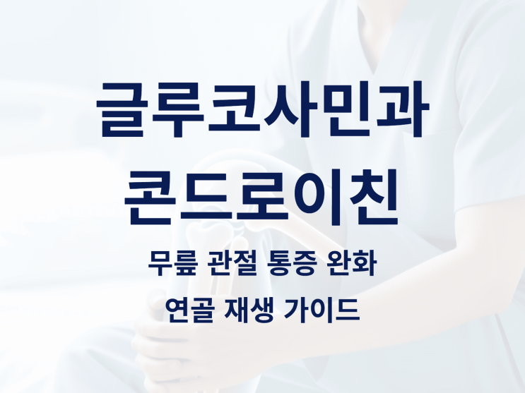  글루코사민과 콘드로이친: 무릎 관절 통증 완화와 연골 재생 가이드
