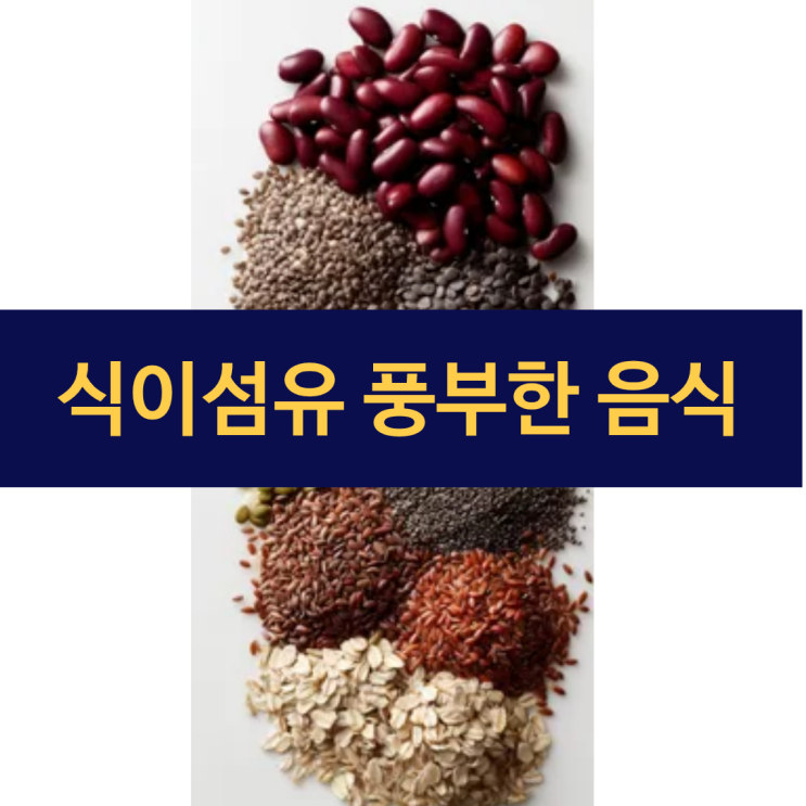  식이섬유 풍부한 음식 | 장 건강 지키는 식이섬유의 모든 것