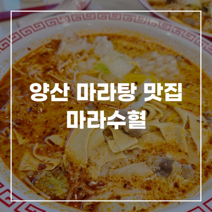  양산 교동 마라탕 맛집 마라수혈 바로 이 맛이야!