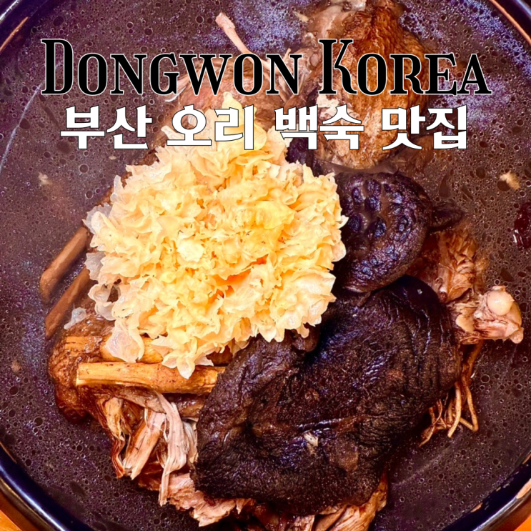  구서동 맛집 동원장수촌 : 부모님 모시고 식사하기 좋은 부산 오리 백숙 맛집 [부산 금정]