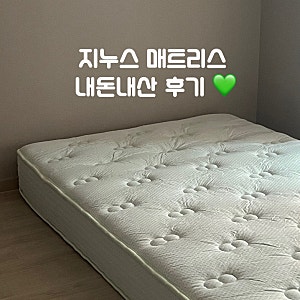 가성비 매트리스 내돈내산 : 지누스 그린티 플러스 하이브리드 스프링 침대 매트리스 20cm